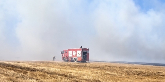 Tekirdağ'da anız yangını kontrol altına alındı