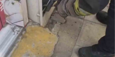Tekirdağ'da doğalgaz kutusundaki yılan itfaiye tarafından kurtarıldı