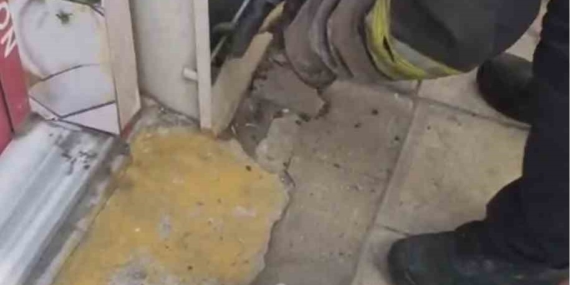 Tekirdağ'da doğalgaz kutusundaki yılan itfaiye tarafından kurtarıldı