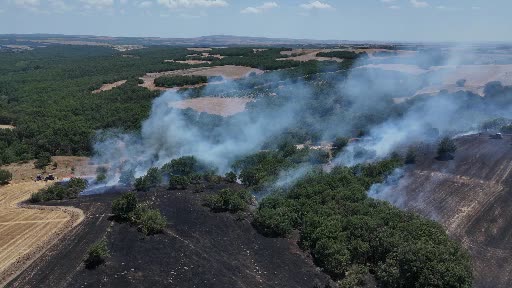 Tekirdağ'da hobi bahçesinde çıkan yangın ormanlık alana sıçradı