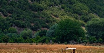 Tokat'ta sıfır traktör 6 ayda 5 kez arızalandı