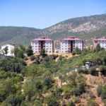 Tunceli'de 268 işletmeye denetim, 11'ine ceza kesildi