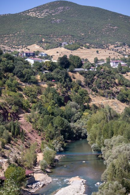 Tunceli'de Mameki Festivali Devam Ediyor