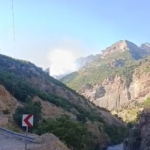 Tunceli'de Munzur Vadisi Milli Parkı'nda örtü altı yangınına müdahale