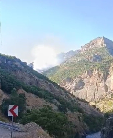 Tunceli'de Munzur Vadisi Milli Parkı'nda örtü altı yangınına müdahale