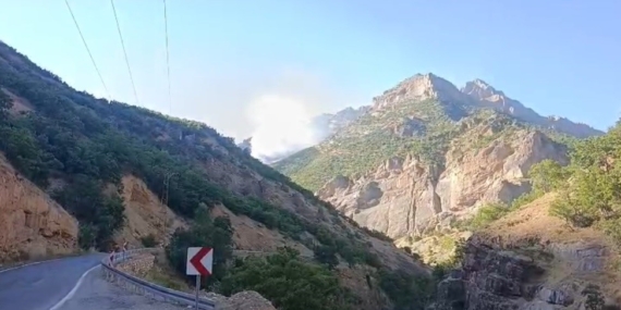 Tunceli'de Munzur Vadisi Milli Parkı'nda örtü altı yangınına müdahale