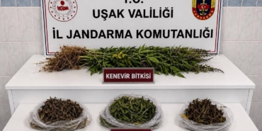 Uşak'ta kaçakçılık operasyonunda çok sayıda malzeme ele geçirildi