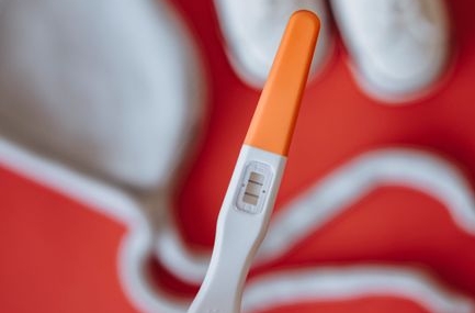Van'da tüp bebek merkezinde ilk gebelikler elde edildi