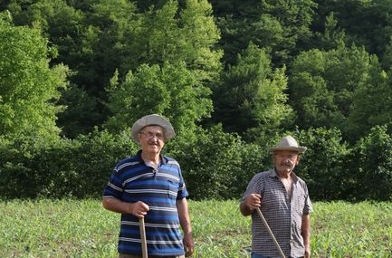 Yığılca'da çiftçilere tarımsal destek toplantısı düzenlendi