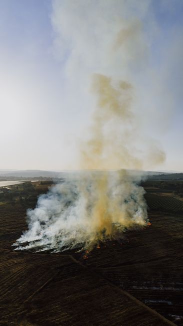 Yüreğir Ziraat Odası'ndan anız yakma uyarısı