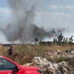 ZEYTİNLİK ALANDA ÇIKAN YANGIN KORKUTTU
