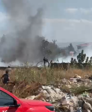 ZEYTİNLİK ALANDA ÇIKAN YANGIN KORKUTTU
