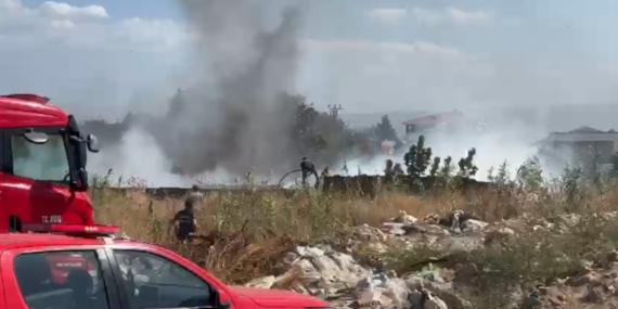 ZEYTİNLİK ALANDA ÇIKAN YANGIN KORKUTTU