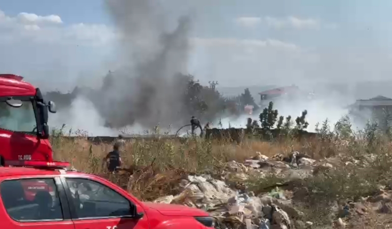 ZEYTİNLİK ALANDA ÇIKAN YANGIN KORKUTTU