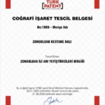 Zonguldak kestane balı coğrafi işaret tescili aldı