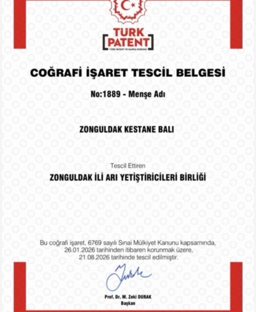 Zonguldak kestane balı coğrafi işaret tescili aldı