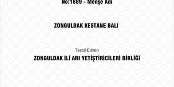Zonguldak kestane balı coğrafi işaret tescili aldı