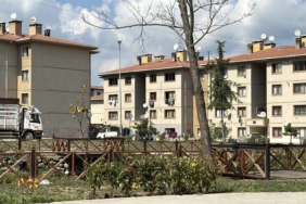 16 YAŞINDAKİ ŞÜPHELİNİN ÖLDÜRDÜĞÜ KİŞİNİN ANNESİ OLDUĞU ORTAYA ÇIKTI