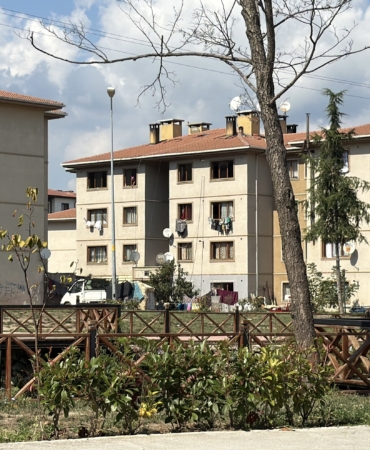 16 YAŞINDAKİ ŞÜPHELİNİN ÖLDÜRDÜĞÜ KİŞİNİN ANNESİ OLDUĞU ORTAYA ÇIKTI