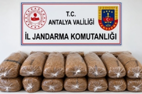 ALANYA'DA 144 KİLO KAÇAK TÜTÜN ELE GEÇİRİLDİ