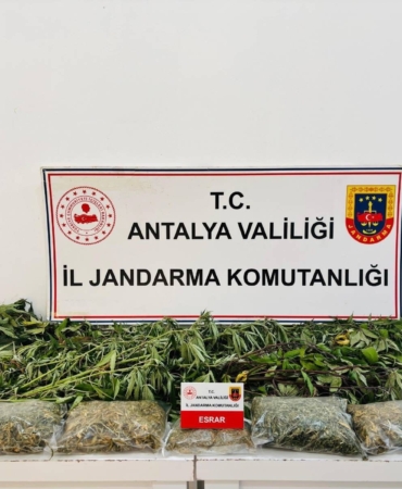 ALANYA'DA UYUŞTURUCU OPERASYONUNDA 24 KÖK KENEVİR VE 2 KİLO 642 GRAM ESRAR ELE GEÇİRİLDİ