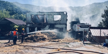 BARTIN'DA AHIRDA ÇIKAN YANGINDA 9 BÜYÜKBAŞ TELEF OLDU