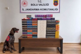 BOLU'DA YOLCU OTOBÜSLERİNDE KAÇAK TÜTÜN OPERASYONU: PİYASA DEĞERİ 760 BİN TL