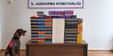 BOLU'DA YOLCU OTOBÜSLERİNDE KAÇAK TÜTÜN OPERASYONU: PİYASA DEĞERİ 760 BİN TL