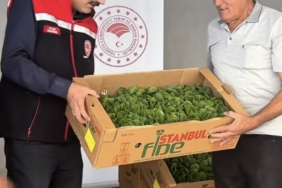 BURDUR'DA ÜRETİCİLERE 164 BİN 500 MARUL FİDESİ DAĞITILDI