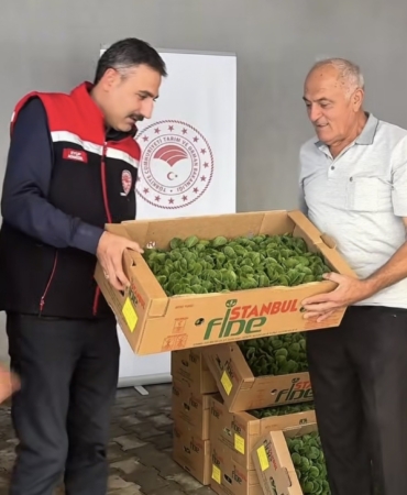 BURDUR'DA ÜRETİCİLERE 164 BİN 500 MARUL FİDESİ DAĞITILDI
