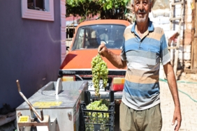 BÜYÜKŞEHİR'DEN ÜZÜM ÜRETİCİLERİNE MAKİNE DESTEĞİ ÜZÜM ÜRETİCİSİ HEM ZAMANDAN HEM PARADAN TASARRUF EDİYOR