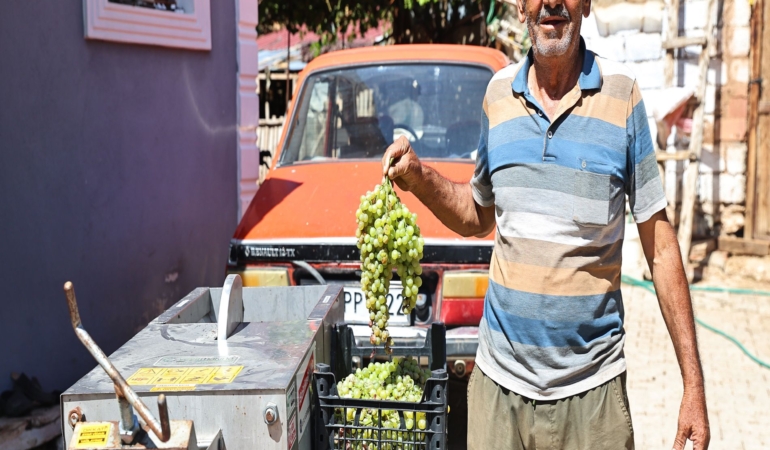 BÜYÜKŞEHİR'DEN ÜZÜM ÜRETİCİLERİNE MAKİNE DESTEĞİ ÜZÜM ÜRETİCİSİ HEM ZAMANDAN HEM PARADAN TASARRUF EDİYOR