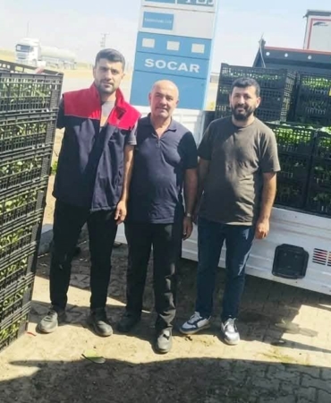 CİZRE'DE ÇİFTÇİLERE YÜZDE 75 HİBELİ FİDE DESTEĞİ