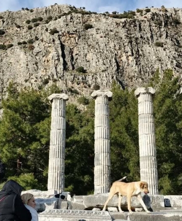DOĞASEVERLER, ANADOLU'NUN POMPEİSİ PRİENE ANTİK KENTİ'NE DİKKAT ÇEKTİ