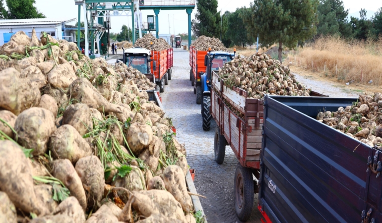 ELAZIĞ ŞEKER FABRİKASI'NDA 71. KAMPANYA DÖNEMİ AÇILDI: 240 BİN TON PANCAR İŞLENECEK