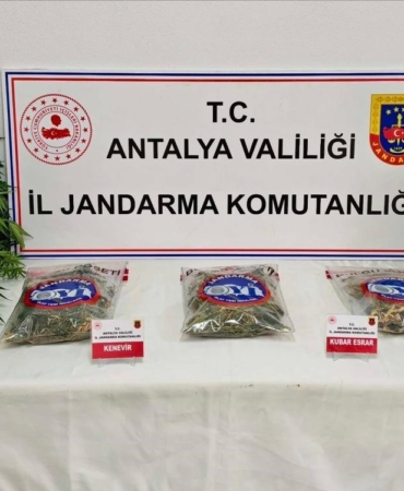 GAZİPAŞA'DA 146 KÖK KENEVİR VE 1 KİLO 150 GRAM ESRAR ELE GEÇİRİLDİ
