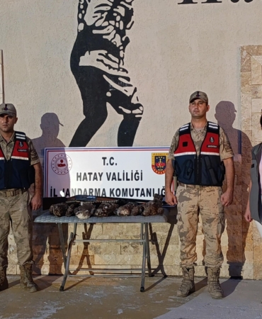 HATAY'DA 7 ARI ŞAHİNİ AVLAYAN ŞAHSA CEZA YAĞDI
