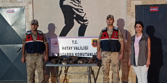 HATAY'DA 7 ARI ŞAHİNİ AVLAYAN ŞAHSA CEZA YAĞDI