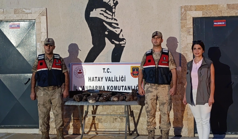 HATAY'DA 7 ARI ŞAHİNİ AVLAYAN ŞAHSA CEZA YAĞDI