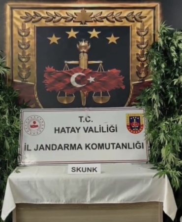 HATAY'DA JANDARMADAN UYUŞTURUCU OPERASYONU: 371 KÖK KENEVİR ELE GEÇİRİLDİ