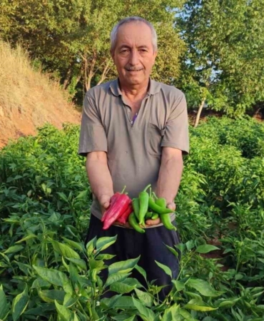 BAŞKAN PÜTÜN; "YEREL ÜRÜNLERİMİZ BEYAĞAÇ’IN ZENGİNLİĞİ" BEYAĞAÇ ATEŞİNİN TARLADAN SOFRAYA YOLCULUĞU BAŞLADI