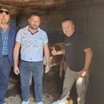 ÇİVRİL’DE KAYBOLAN İKİ BUZAĞI MAHALLE HALKINI SEFERBER ETTİ