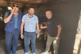 ÇİVRİL’DE KAYBOLAN İKİ BUZAĞI MAHALLE HALKINI SEFERBER ETTİ