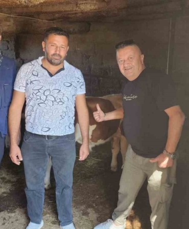 ÇİVRİL’DE KAYBOLAN İKİ BUZAĞI MAHALLE HALKINI SEFERBER ETTİ