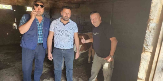 ÇİVRİL’DE KAYBOLAN İKİ BUZAĞI MAHALLE HALKINI SEFERBER ETTİ