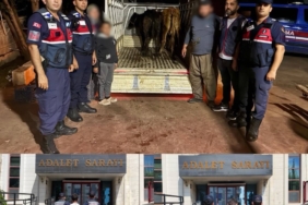 JANDARMA ÇALINAN 13 HAYVANIN İZİNİ SÜRDÜ: 3 BÜYÜKBAŞ SAHİBİNE TESLİM EDİLDİ