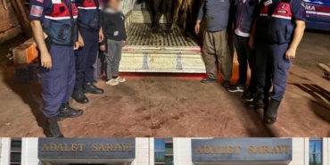 JANDARMA ÇALINAN 13 HAYVANIN İZİNİ SÜRDÜ: 3 BÜYÜKBAŞ SAHİBİNE TESLİM EDİLDİ