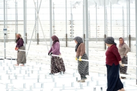 KADINLAR ÇALIŞACAKLARI SERAYI KENDİLERİ YAPMAYA BAŞLADI