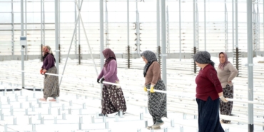 KADINLAR ÇALIŞACAKLARI SERAYI KENDİLERİ YAPMAYA BAŞLADI