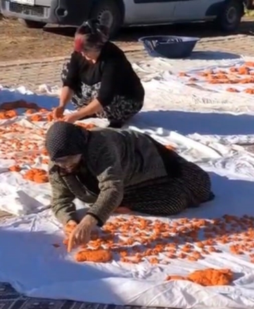 KADINLAR İMECE USULÜ İLE TARHANA DÖKTÜ